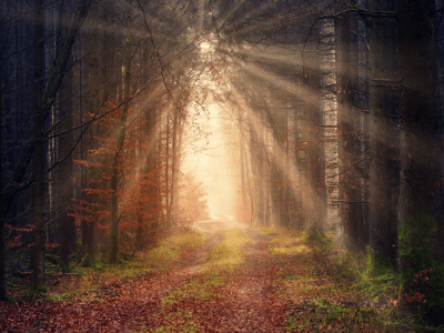 Un seminar despre&nbsp;viziune